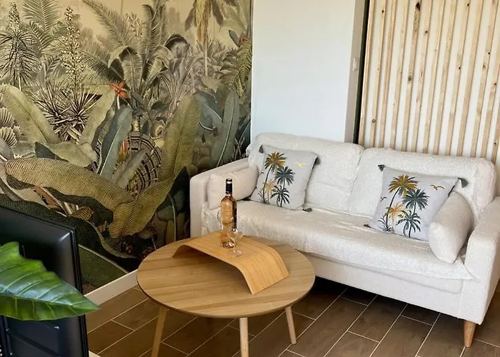 Apartamento Singes De La Sagesse - Balcon & Clim